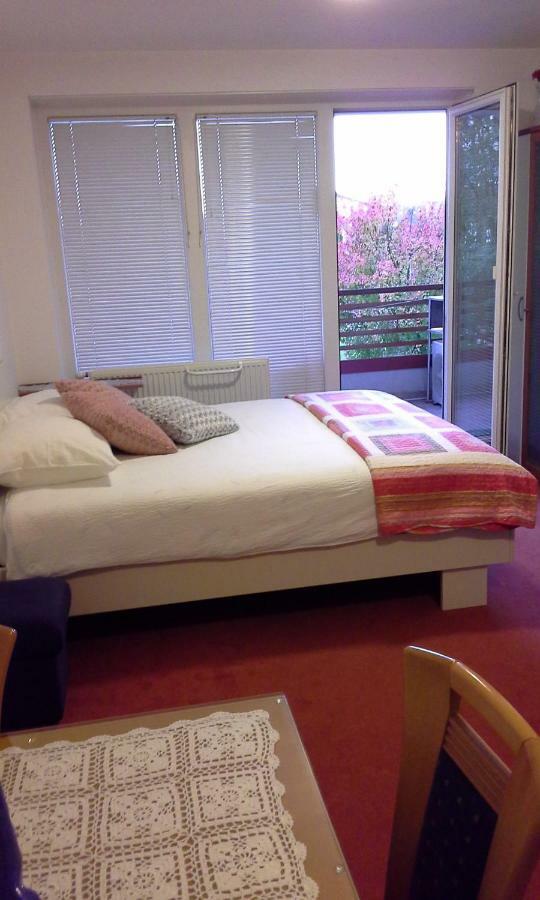 Apartment Maja Moravske-Toplice Buitenkant foto